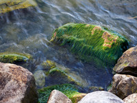 St. Clair on the Rocks 13