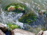 St. Clair on the Rocks 11