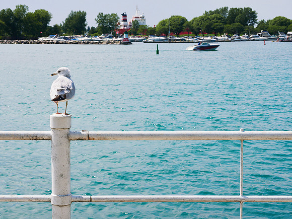 Sarnia: Bayside 1