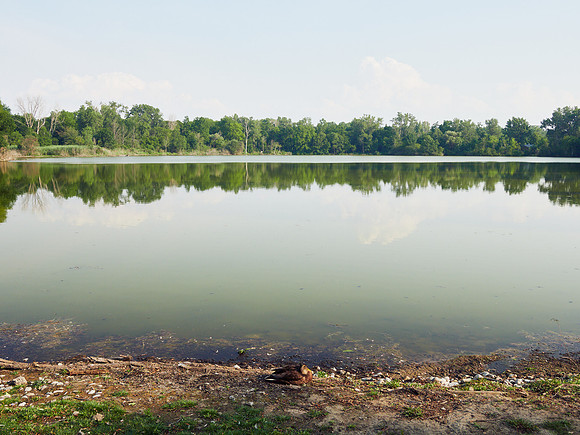 Sarnia: Bayside 21