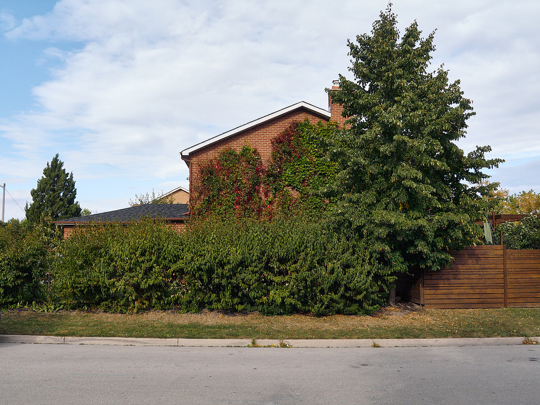Corner Lot 7