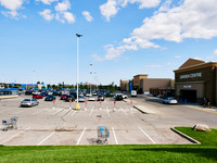 Shopping Carts 1
