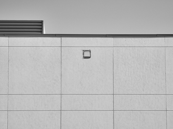 Newfound Landscape 22