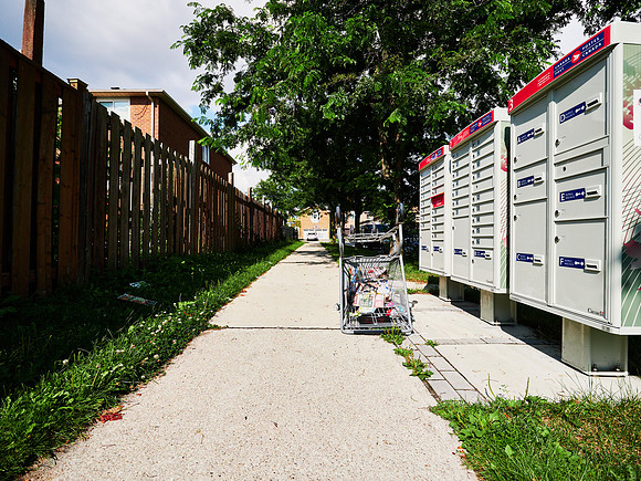 Shopping Carts 6