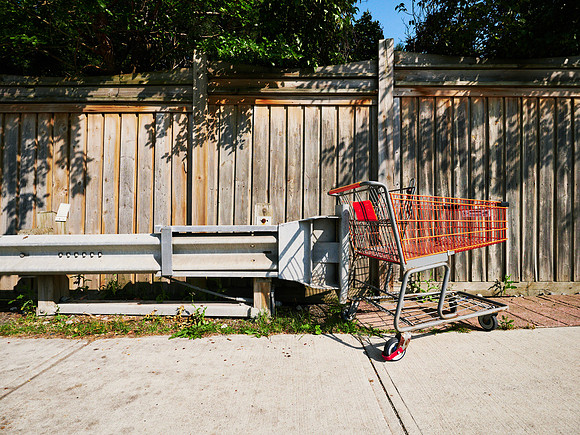 Shopping Carts 5
