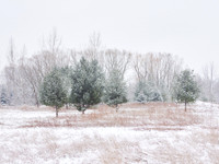The Middle of Credit Meadows, Winter 6