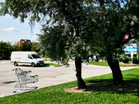 Shopping Carts 4