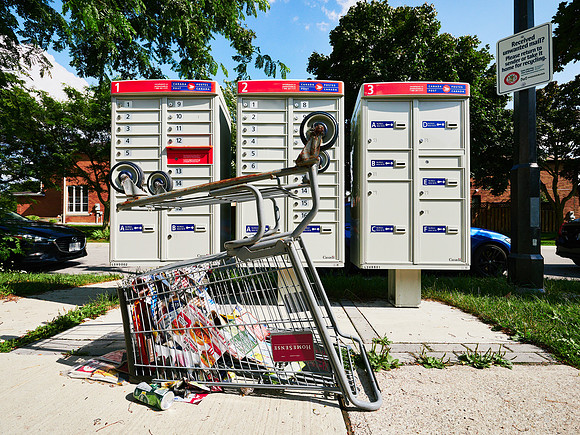Shopping Carts 7
